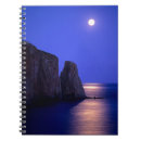 Search for coast notebooks Blue