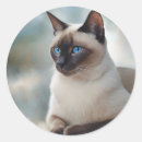 Search for siamese cat stickers Portrait