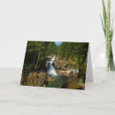 Search for mount rainier national park cards Nature