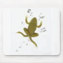 Search for agile mousepads Wildlife