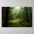 Search for forest art Wildlife