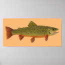 Search for brook trout art Salmon