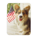 Search for cutest magnets Pembroke welsh corgi
