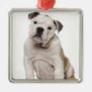 Search for english bulldog christmas tree decorations Dogs