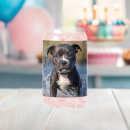 Search for play with your dog mugs Playing