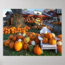 Search for gourd posters Country