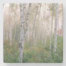 Search for new hampshire coasters Jaynes gallery
