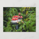 Search for gardener postcards Funny