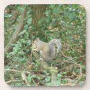 Search for acorn coasters Cute