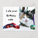 Search for ate cards Cat