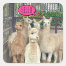 Search for flocking stickers Animals