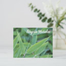 Search for bamboo plants postcards Leaves