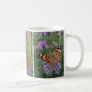 Search for painted lady mugs Orange