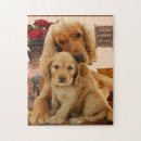 Search for labrador puzzles Cute