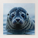 Search for seals puzzles Water
