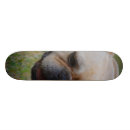 Search for french bulldog skateboards Frenchie