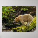 Search for cathy art Forest