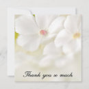 Search for photographs note cards Floral