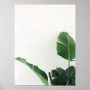 Search for tropical plants posters Minimalist