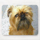Search for brussels mousepads Griffon