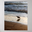 Search for sandpiper art Water