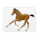 Search for filly kitchen dining Fillies