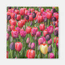 Search for spring pink magnets Floral