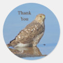 Search for wild birds stickers Thank you