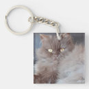 Search for brown cat key rings Feline