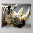 Search for rhinoceroses art Black