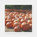 Search for patch photography Fall