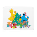 Search for big bird magnets Seasonal