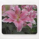 Search for lillies mousepads Garden