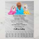 Search for dog grooming promotion flyers Pets