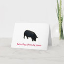 Search for from cards Hog