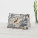 Search for denim cards Nature