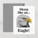 Search for sharp postcards Nature