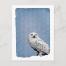 Search for hedwig postcards Hogwarts inspired design