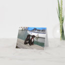 Search for portuguese water dog cards Pwd