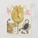 Search for vintage flower postcards Unique