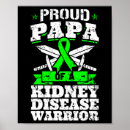 Search for kidney disease disease posters Warrior