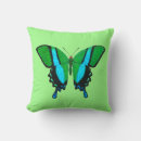 Search for black and turquoise cushions Butterfly