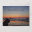 Search for hunt postcards Beach