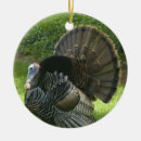Search for wild turkey christmas tree decorations Thanksgiving