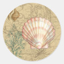 Search for sea plants stickers Kelp