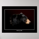 Search for studies posters Wildlife