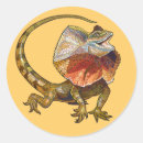 Search for necked stickers Lizard