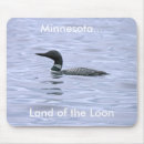 Search for loons electronics Minnesota