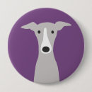 Search for greyhound badges Iggy