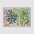 Search for forget me not flowers tissue paper Vintage